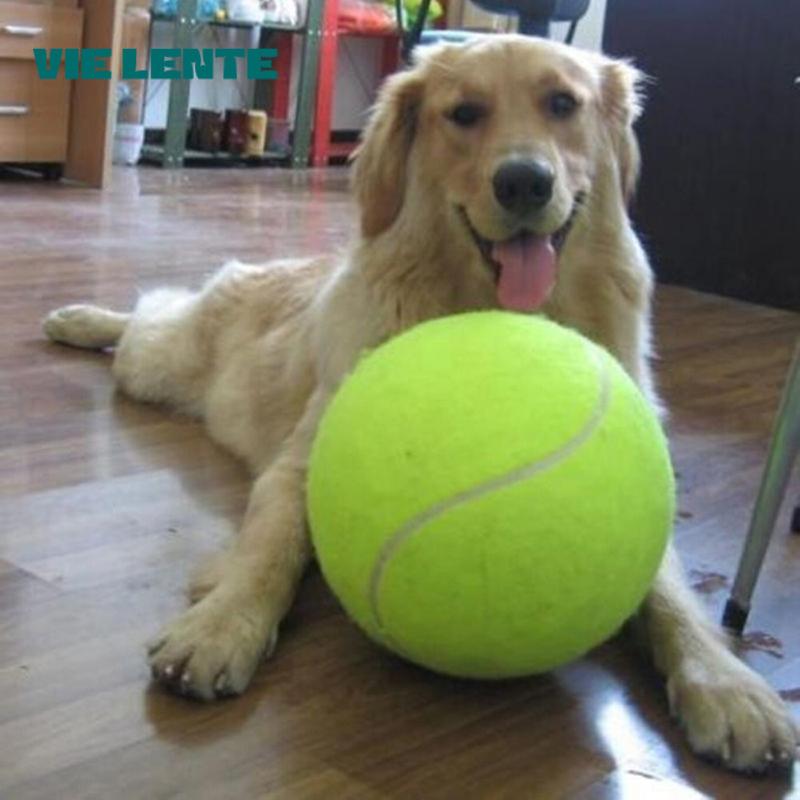 7/8/9.5Inch Dog Tennis Ball Gi - Pet Supplies In Bulk review and price
