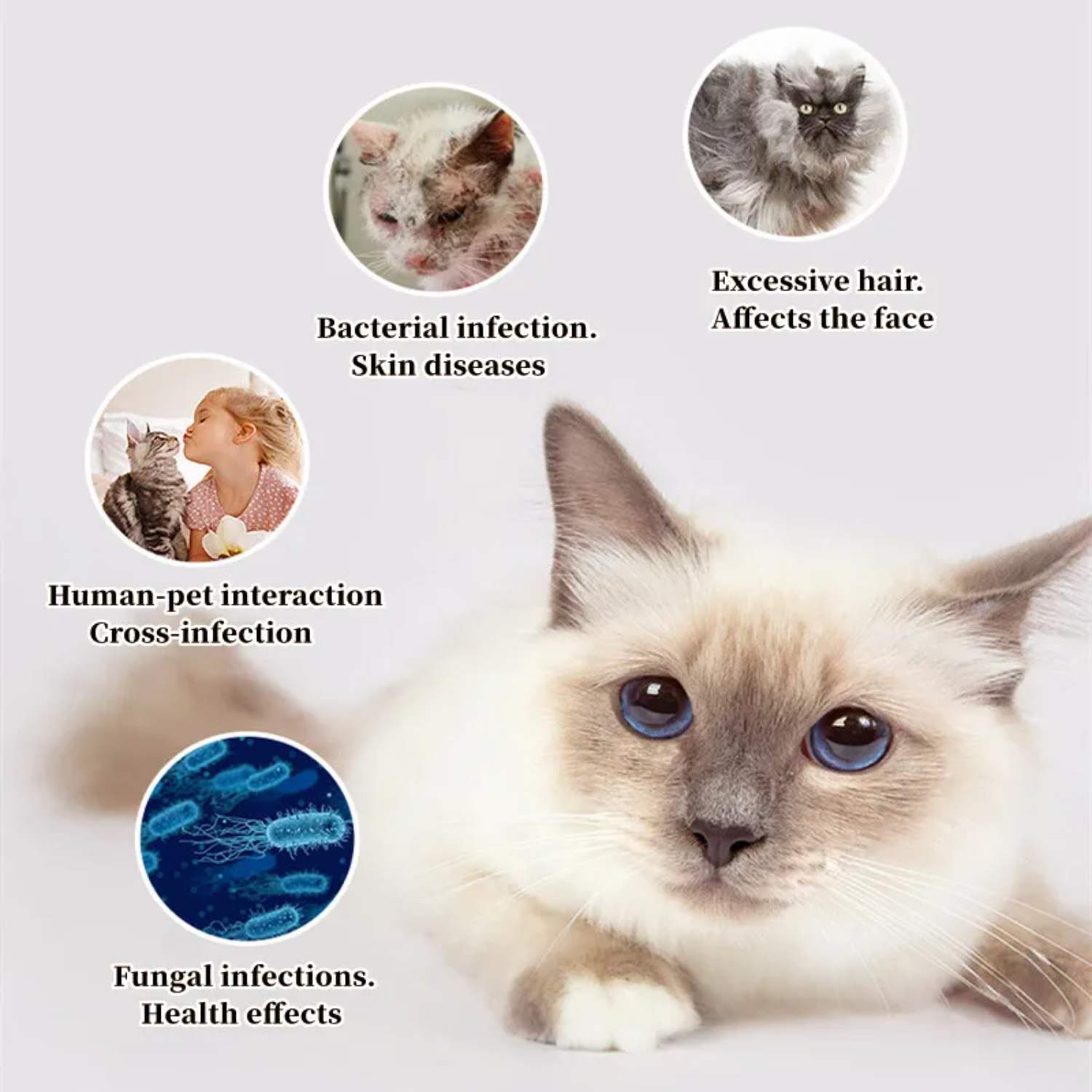 Cat Comb Dog Hair Remover Brus - Pet Supplies Grooming Hours review and price