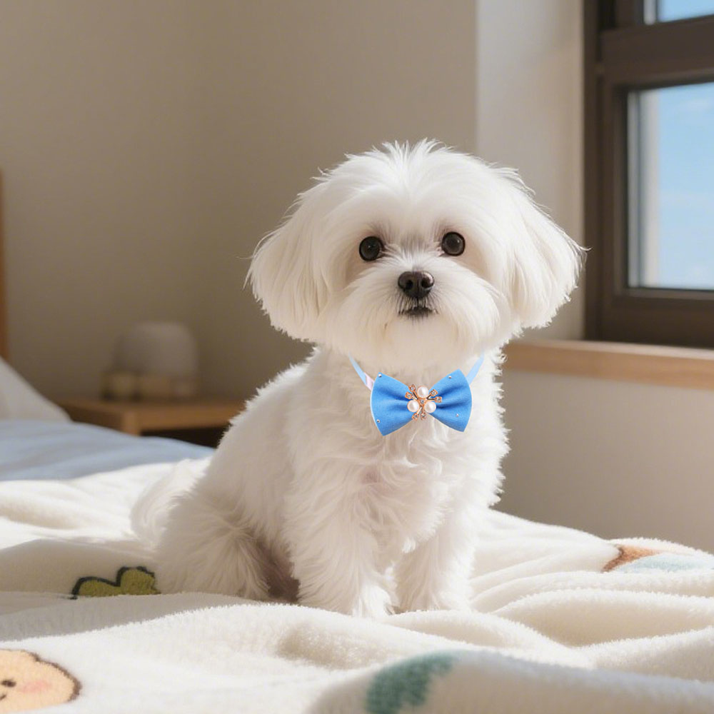 50pcs Bulk Pet Dog Bow Tie Fas - Pet Supplies In Bulk review and price