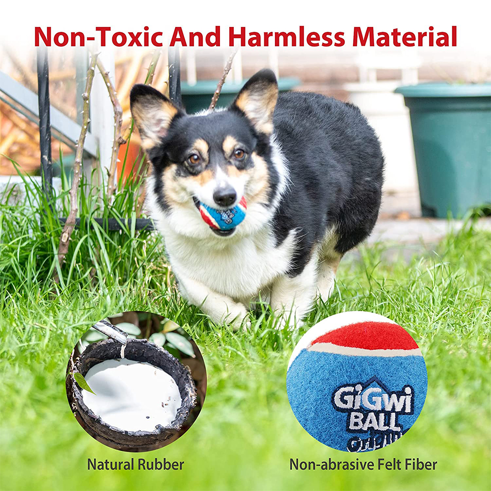 Pet Dog Squeaky Tennis Ball In - Pet Supplies In Bulk review and price