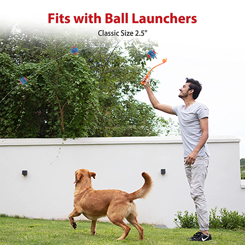 Pet Dog Squeaky Tennis Ball In - Pet Supplies In Bulk review and price