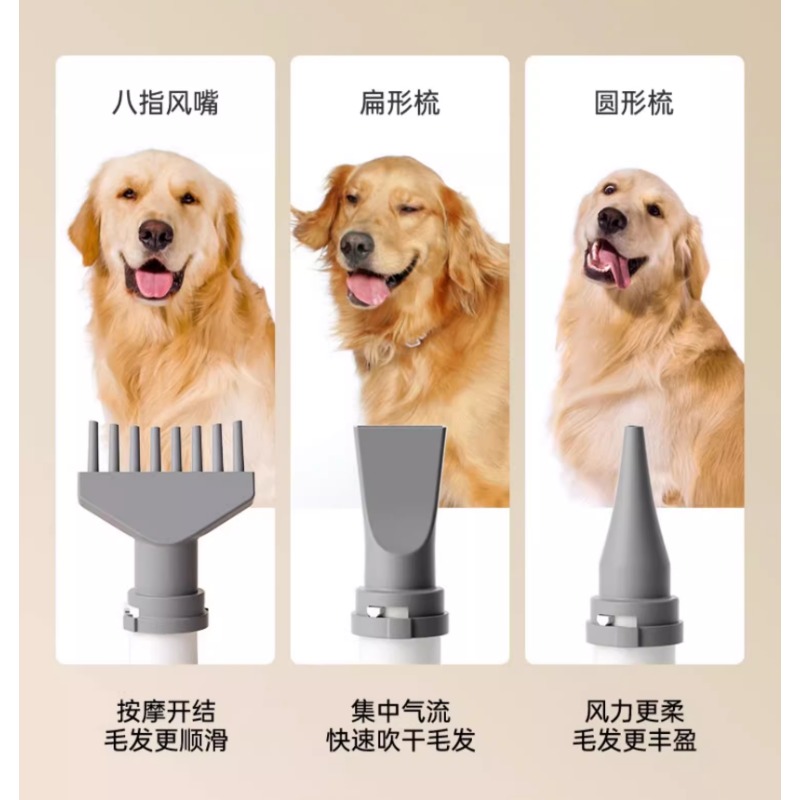 Pet Smart Drying Machine for H - Pet Supplies And More review and price