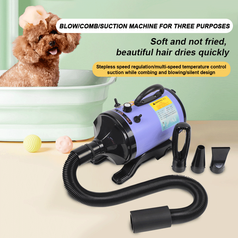 2800W High-power Dogs Hair Dry - Pet Supplies And More review and price