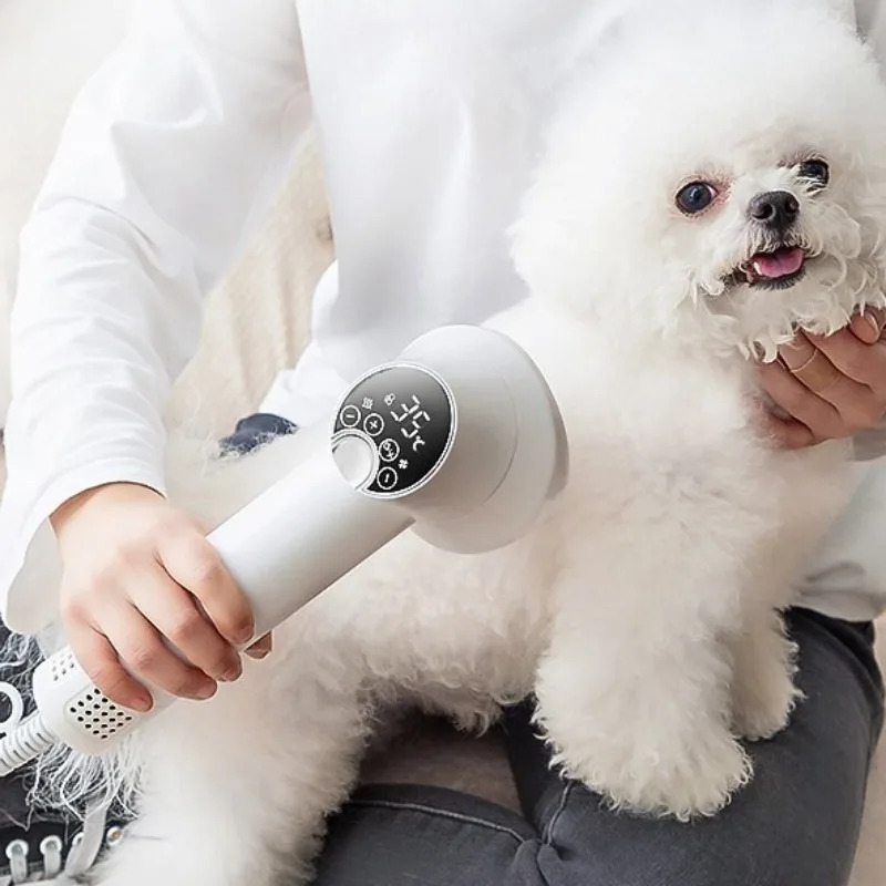 Professional Pet Hair Dryer Do - Pet Supplies And More review and price