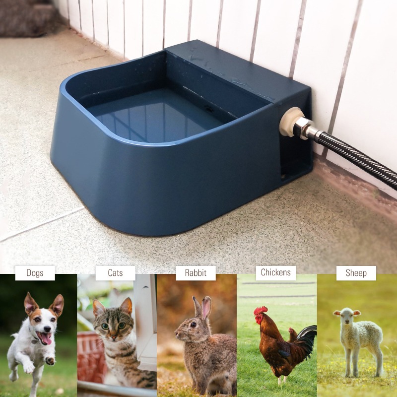 Pet Automatic Water Dispenser  - Pet Supplies Unlimited review and price