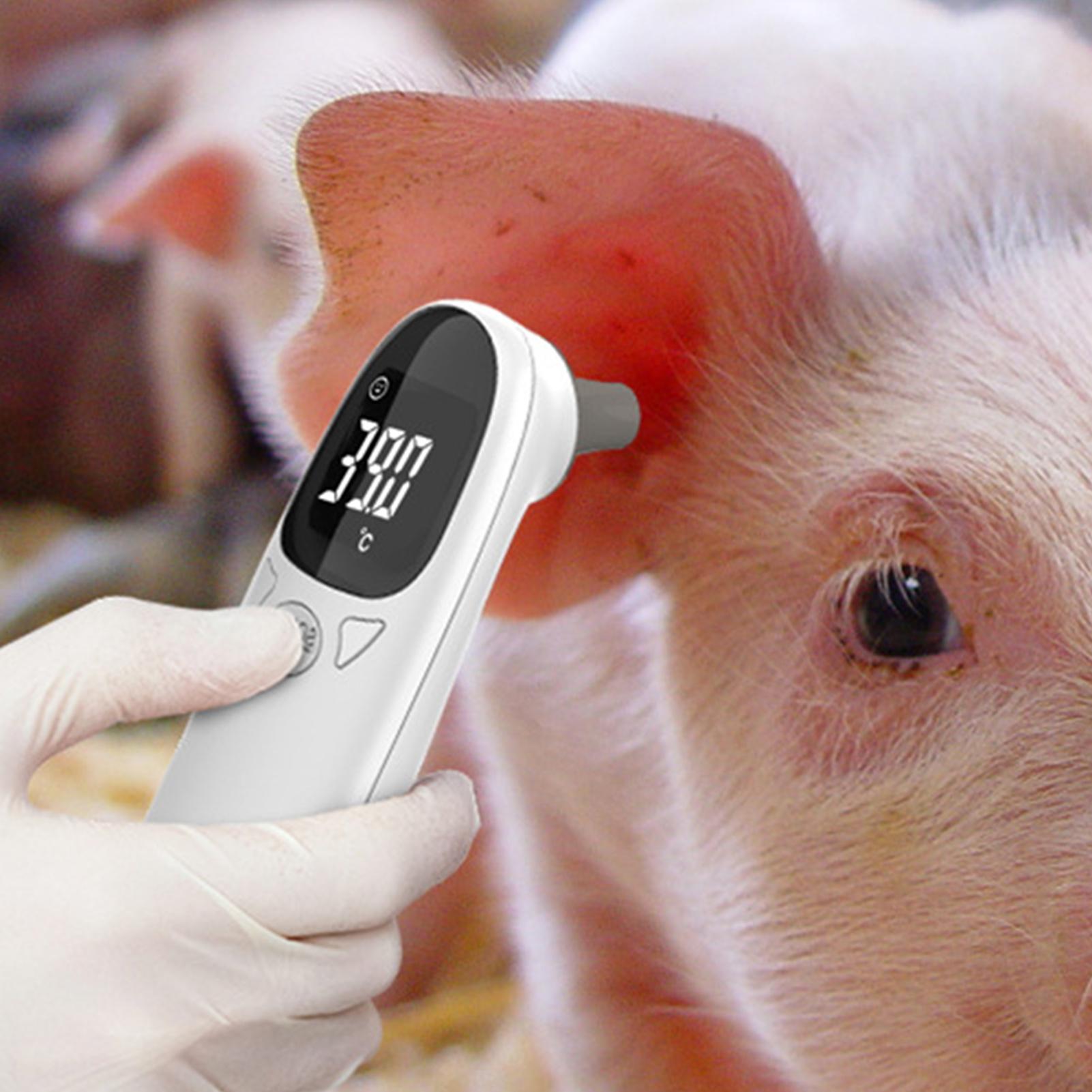 Dog Cat Ear Thermometer Medica - Pet Supplies In Bulk review and price