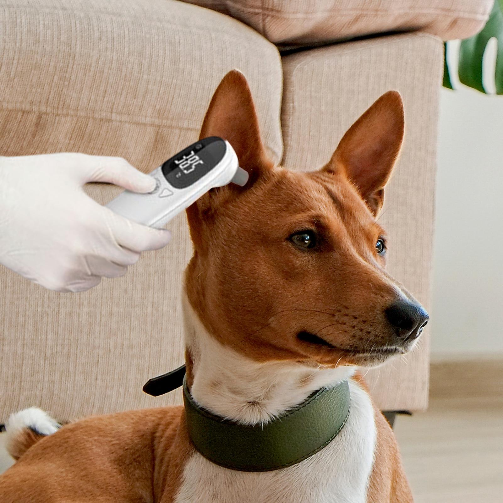 Dog Cat Ear Thermometer Medica - Pet Supplies In Bulk review and price
