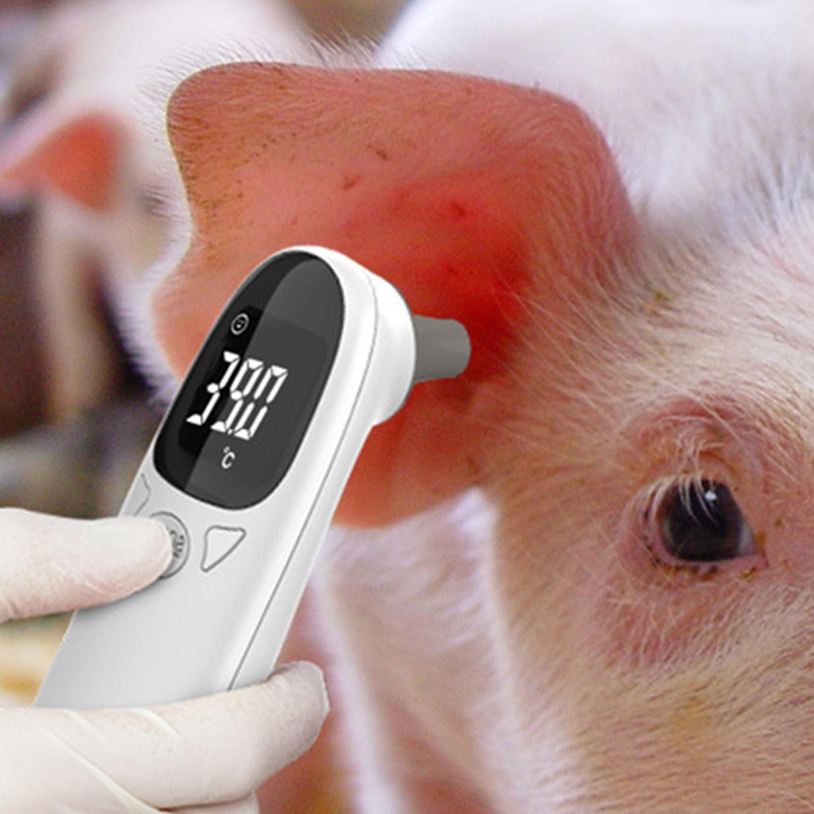 Dog Cat Ear Thermometer Medica - Pet Supplies In Bulk review and price