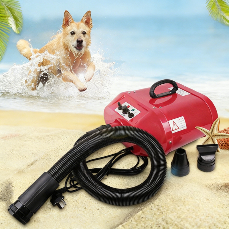 Double Motor Water Blower Pet  - Pet Supplies And More review and price