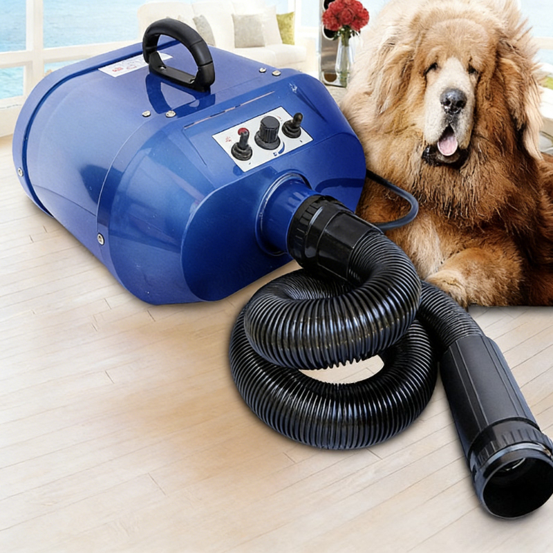Double Motor Water Blower Pet  - Pet Supplies And More review and price