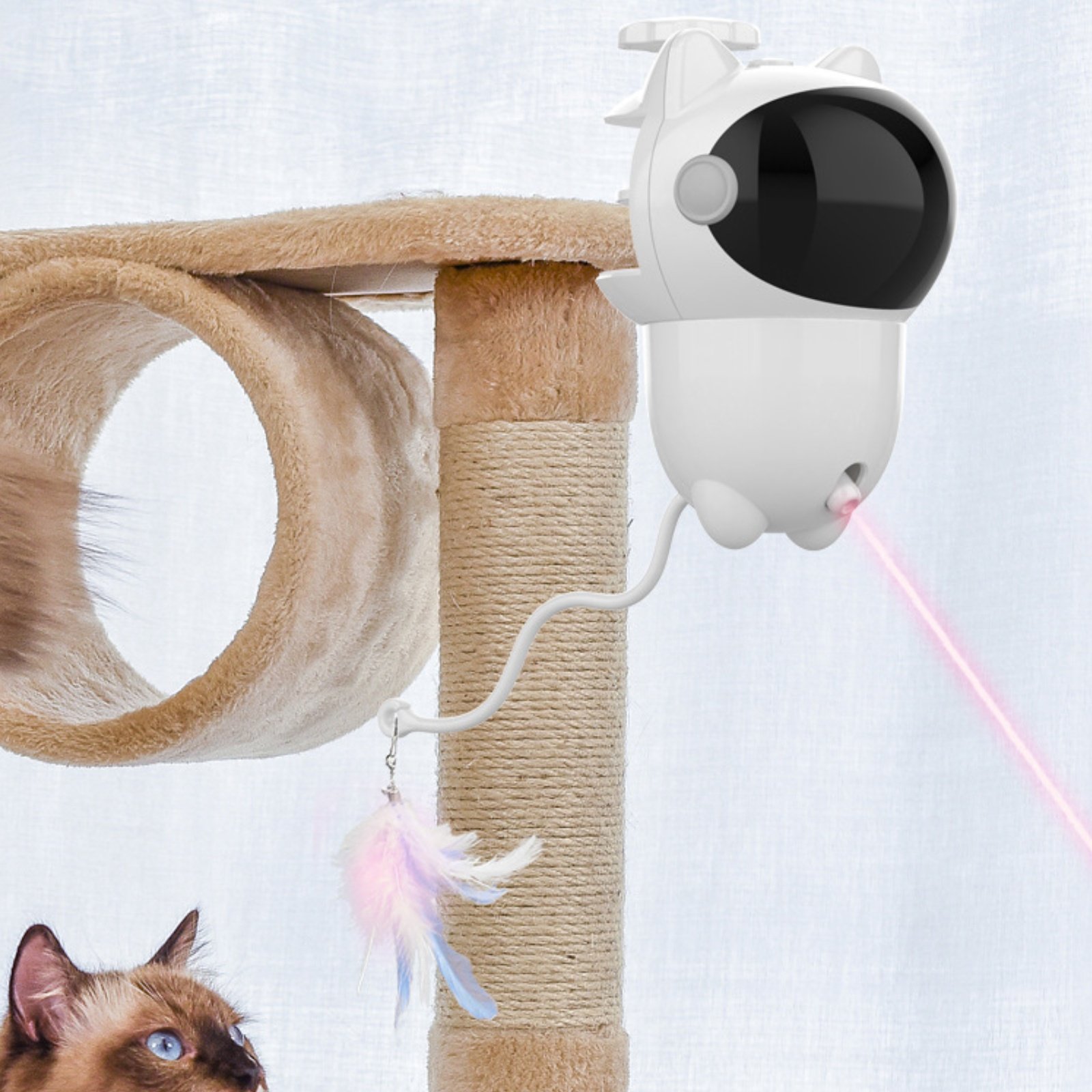 Automatic Feather Feline Toy U - Pet Supplies Reno review and price