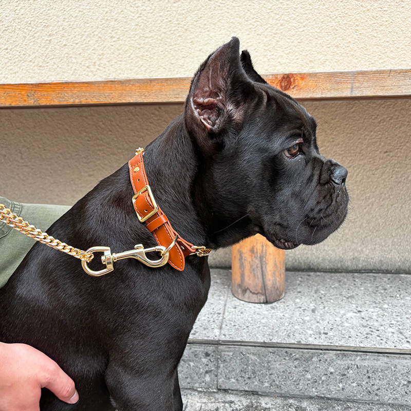 Loudik Wholesale Pet Collar Le - Pet Supplies In Bulk review and price