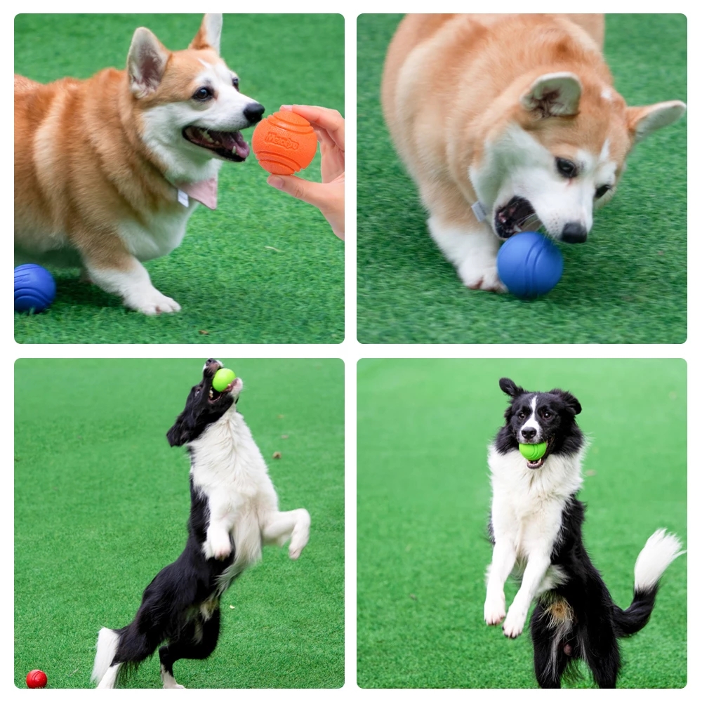 Pet Dog Toys Dog Ball Dog Boun - Pet Supplies In Bulk review and price