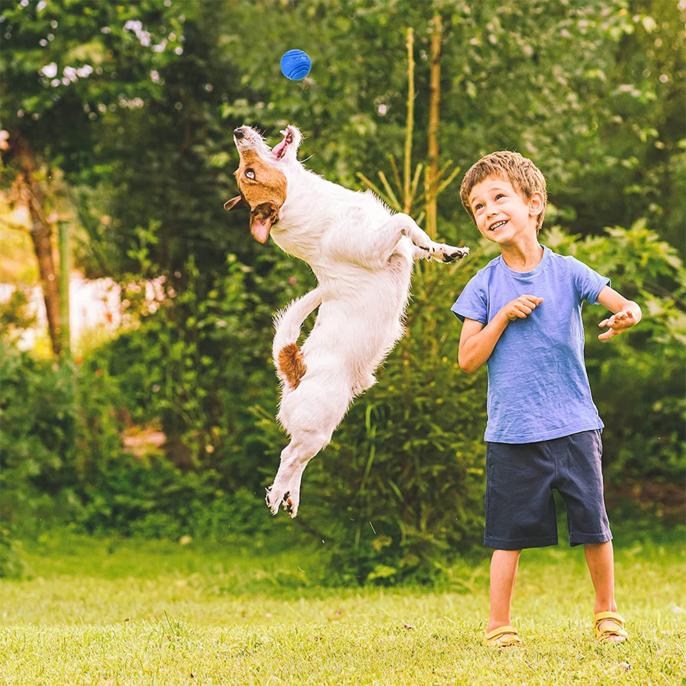 Pet Dog Toys Dog Ball Dog Boun - Pet Supplies In Bulk review and price